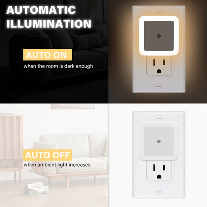 Night light 6 Pack